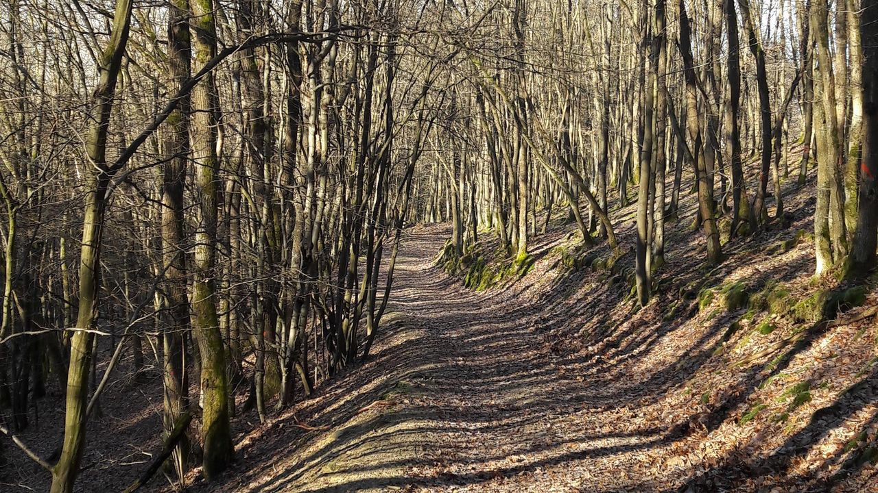 Wanderweg "Kirchspiel's Täler Tour" Wanderweg "Kirchspiel's Täler Tour"